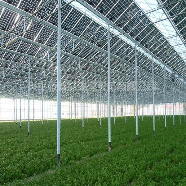 Commercial Greenhouse Solar System Electric Power Galvanized Surface Treatment