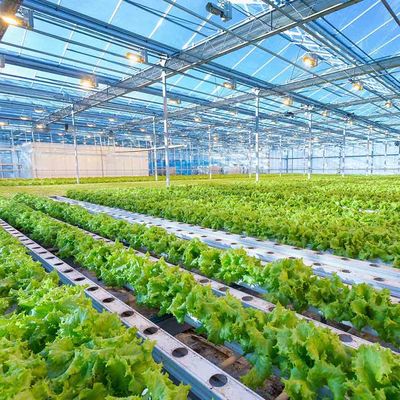 Estructura de montaje agrícola fotovoltaica de la altura del invernadero del marco ligero ajustable inteligente de la Sistema Solar