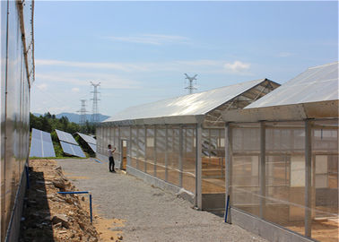 Un buen precio. Cosechas agrícolas fotovoltaicas montadas tejado de las centrales eléctricas de la Sistema Solar del invernadero en línea