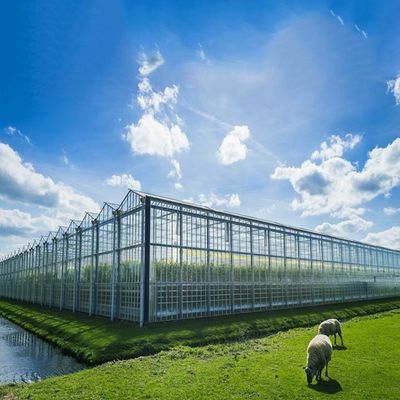 Un buen precio. Sistema Solar del invernadero multi del propósito 500KW BIPV en línea