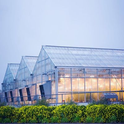 Un buen precio. Sistema Solar galvanizada del invernadero de la película del grueso de 12m m en línea