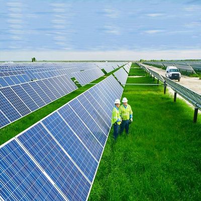 Un buen precio. Sistemas de montaje de tierra fotovoltaicos solares galvanizados naturales o modificados para requisitos particulares del metal inoxidable en línea