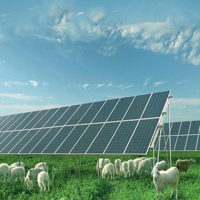 Un buen precio. El panel solar galvanizado del metal bajo molido montaje de la estructura de sistemas en línea