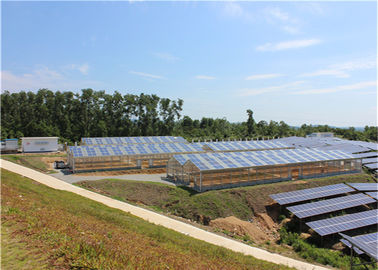 Un buen precio. Estructura metálica de la sola del palmo del invernadero de la Sistema Solar de la agricultura casa caliente de la planta en línea
