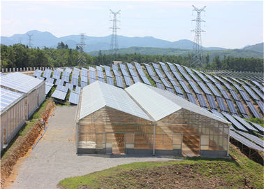 calidad Estructura de acero galvanizada de establecimiento económica de alta densidad de la inmersión caliente de la Sistema Solar del invernadero fábrica
