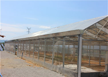 Un buen precio. Sistema Solar de tierra para la agricultura, sistemas solares del montaje del picovoltio de la granja de la planta en línea