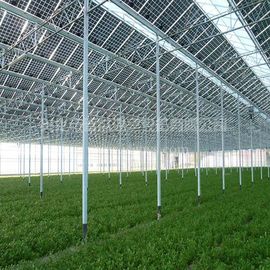 Un buen precio. Tratamiento superficial galvanizado Electric Power de la Sistema Solar del invernadero comercial en línea