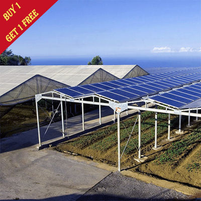 Un buen precio. Resistencia a la corrosión modificada para requisitos particulares del color de la Sistema Solar del invernadero de la agricultura en línea