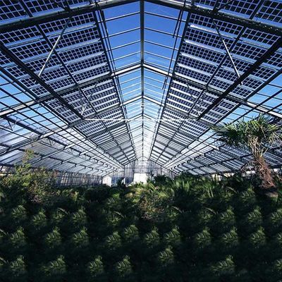Un buen precio. Carga máxima fotovoltaica de la nieve de la estructura Q235 Q345 1.4KN/M2 de la Sistema Solar del invernadero del tejado en línea