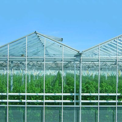 Un buen precio. Sistema Solar fotovoltaica montada de tierra para la granja de la planta en línea