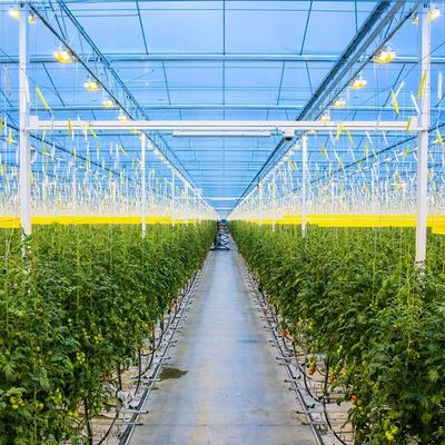 Un buen precio. Invernadero solar galvanizado agrícola del picovoltio del marco de acero en línea