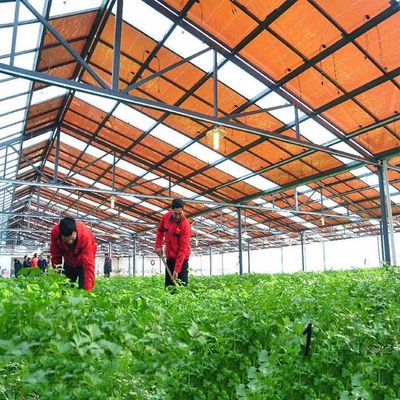Un buen precio. Estructura galvanizada caliente de la ayuda del módulo de la película fina del marco de acero para los invernaderos fotovoltaicos en línea
