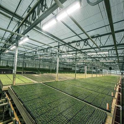 Un buen precio. Un invernadero accionado solar agrícola de la irrigación al aire libre del marco en línea