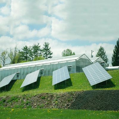Un buen precio. Los marcos metálicos ajardinan o el sistema eléctrico solar del retrato para el invernadero en línea