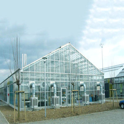 Un buen precio. Sistema Solar galvanizada del invernadero de la estructura del marco de acero para la granja en línea