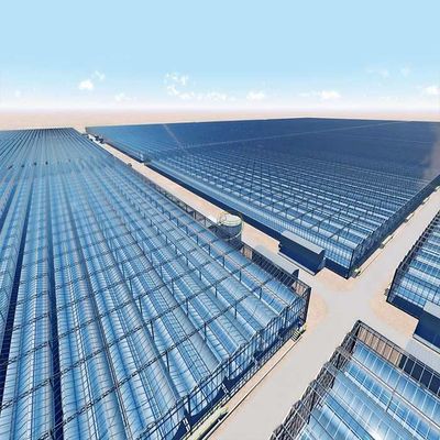 Un buen precio. La inmersión caliente galvanizó el sistema de montaje fotovoltaico de acero para el invernadero en línea