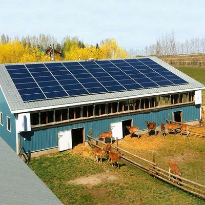Sistema Solar montada de tierra galvanizada para el invernadero