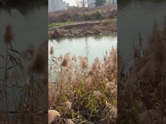 3 pulgadas DC sumergible bomba de agua de pozo profundo con controlador MPPT